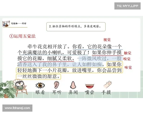 失明者如何通过触觉与听觉开发感知潜能激发创造力的心智之旅 失明者如何通过触觉与听觉开发感知潜能激发创造力的心智之旅