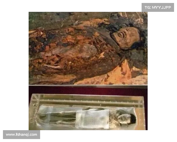 揭开尘封的故事之谜：7步攻略带你走进未知的历史真相